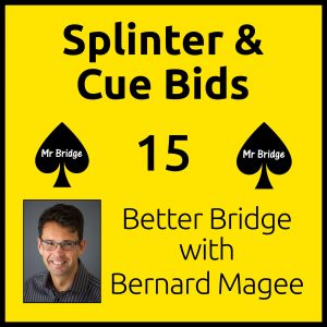 Sq 2000 Dvd 15 Splinter And Cue Bids Set 3